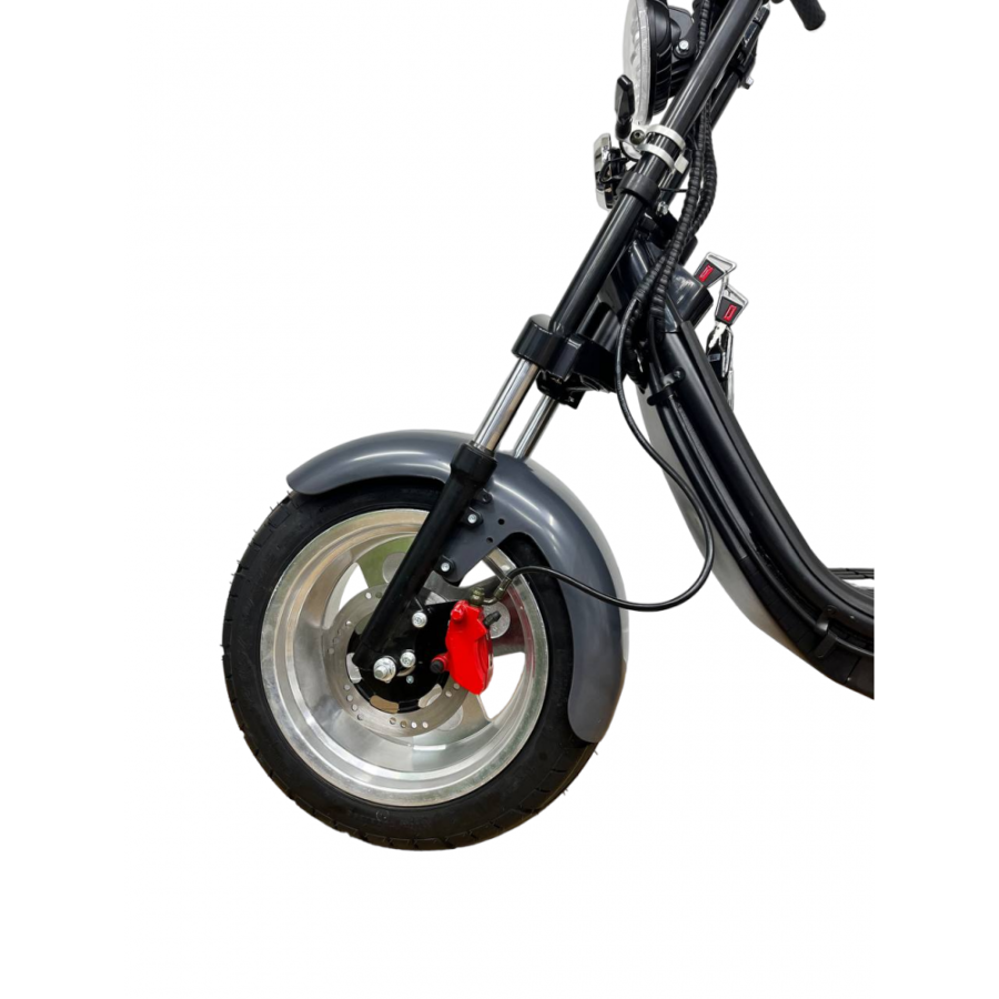 whatsapp_image_2023_102-1000x1000